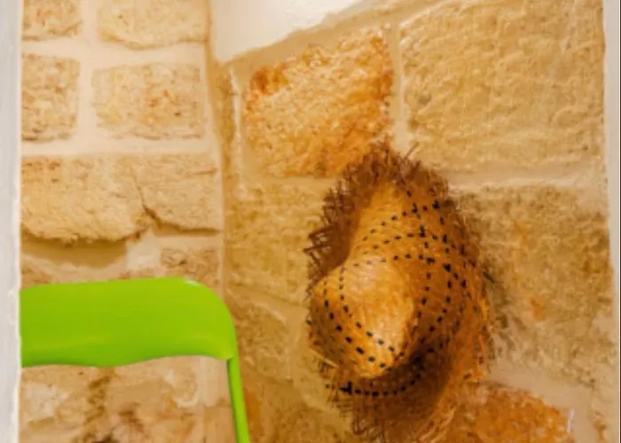 Nap25guesthouse 4* Polignano a Mare